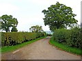 Button Bridge Lane on the way to Severn Lodge