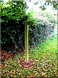 SO7480 : Finger post by Severnlodge Cottage, Button Bridge Lane by P L Chadwick