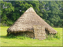 TQ5509 : Celtic Roundhouse by Colin Smith
