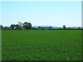 Farmland off the A169