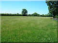 Farmland off the A169