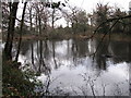 Lake south of Hollydale Recreation Grounds (6)