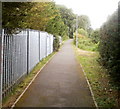 Path on the west side of Chapel Road, Pontypool