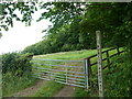 Footpath cutting a corner at Oxcroft