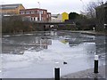 Frozen Canal