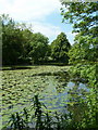 Lake in Ringwood Park