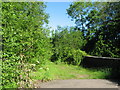 Footpath near Radyr