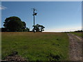 Footpath to Tre-Wern