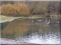 Dudley Canal Basin