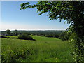 Fields near Groes-Faen