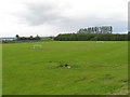 Playing field at Alloa