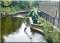 River Tavy