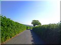 Lane near Whitley Farm