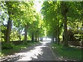 Avenue at Heythrop