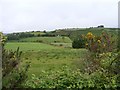 W1547 : Farmland north of R586 road - Clodagh and Derrynagree East Townlands by Mac McCarron