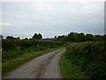 Looking towards Hardwick