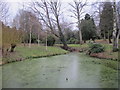 Pond, Hayes Recreation Gardens (5)