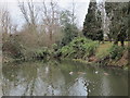 Pond, Hayes Recreation Gardens (7)