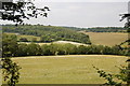 View from Meenfield Wood