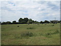 View towards Plots Farm