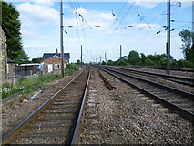TF1205 : View from Maxey Road Level Crossing, Helpston by Marathon