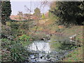 Small pond on a minor tributary of the Kyd Brook, Darrick Wood (3)