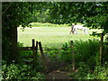 Stile and footpath, Damerham