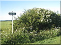 Junction of footpath and bridleway