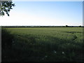 View towards Brant Broughton