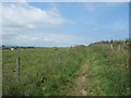 Footpath from Penare to Treveague Farm