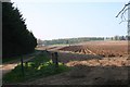 Culfosie Fields