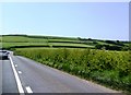 Hedgerow along A381