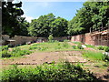 Walled garden in Summerfields Wood