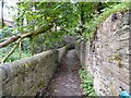 Path to Mottram Road