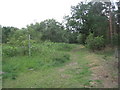 Bridleway to Peacock Cottages