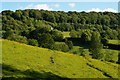 Sheepscombe valley, south side