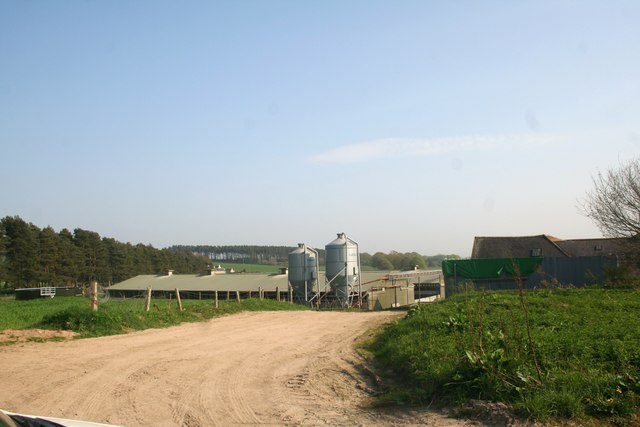 North Mains Silos Silos and farm sheds at the North Mains of Echt.