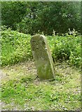 SE0324 : Canal boundary (?) stone, Luddendenfoot by Humphrey Bolton