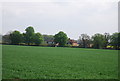 Houses on Station Rd