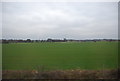 Farmland, Diamond Hill