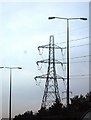 Pylon by the M25