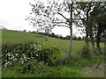 Lisconrea Townland