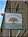 The Blenheim Tea Rooms & Guest House (3) - sign, 17 Park Street, Woodstock