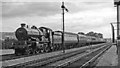 Paddington - Cheltenham express at Naas Crossing, south of Gloucester