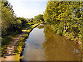 SJ9397 : Peak Forest Canal by David Dixon