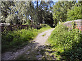 Footpath across Well Bridge