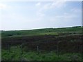 Drumbow, Heather moor