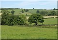 Countryside southwest of Stanterton