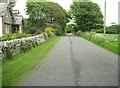 Cottages on the road to Ardwell