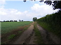 TM2765 : Footpath to the A1120 Button's Hill by Geographer